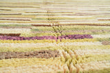 Nursery Rugs Collective