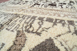 Moroccan Outdoor Rugs And Living Room Rug