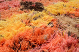 Moroccan Rug Shaggy diamond Rug Illuminate Collective