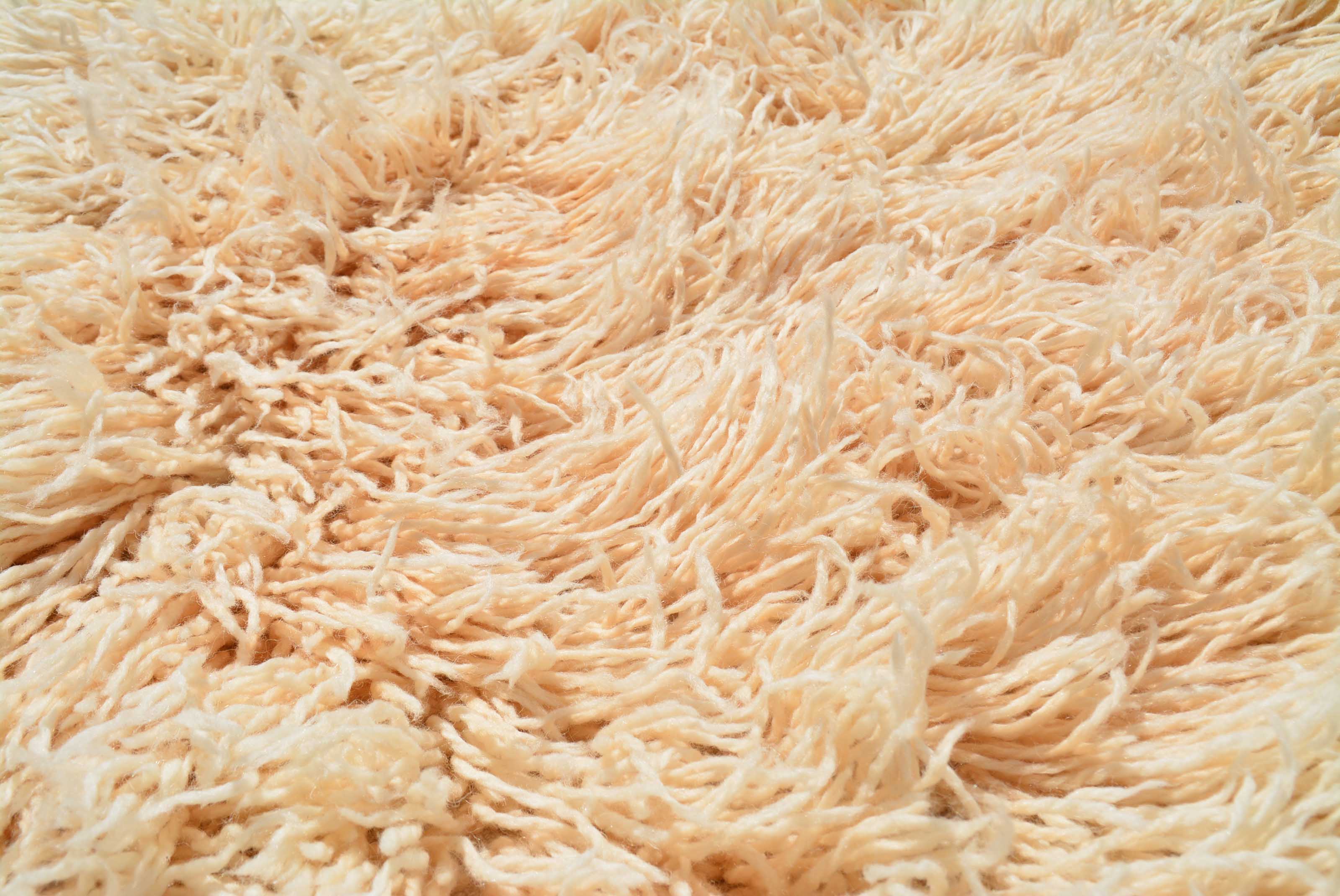 Rug 5x7 | Pale Wheat Shag Rug 