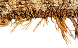 Vintage Distressed Area Rugs for Sale | Vintage Moroccan Rug | Illuminate Collective
